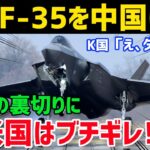 【海外の反応】K国がF-35Aの故障修理をまさかの中国に依頼！？米国ブチ切れでお隣さん崩壊へｗ【グレートJAPANちゃんねる】