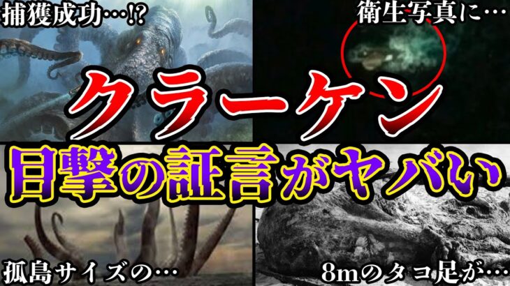 【ゆっくり解説】伝説のUMAクラーケン実在!?目撃証言と海の怪物の正体がヤバすぎる!!!
