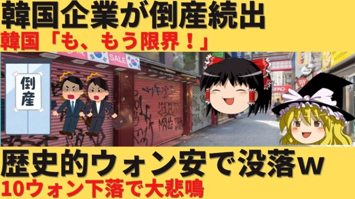 【ゆっくり解説】韓国企業の借金が過去最大になり連鎖倒産の可能性が高くなってしまうｗ