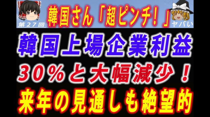 【ゆっくり解説】韓国さん、超ピンチ！韓国上場企業の営業利益が30％と大幅減少！原因は半導体の2社と韓電の大規模赤字 来年の見通しも暗く専門家も企業もお手上げ状態！ #ゆっくり解説 #韓国 #韓国経済