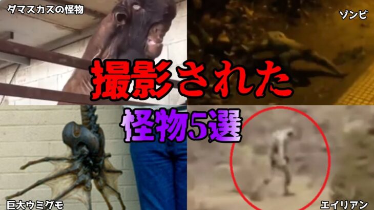 【ゆっくり解説】写真や映像で捉えた！撮影された怪物5選part2