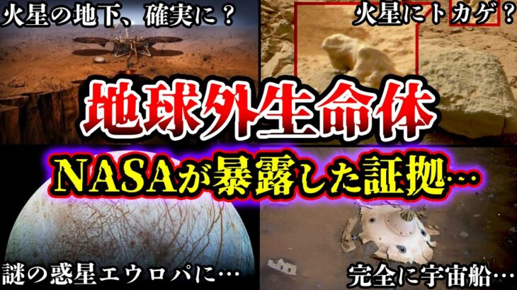 【ゆっくり解説】NASAが捉えた!? 地球外生命体の衝撃映像と証言がヤバすぎる…【未確認生物】
