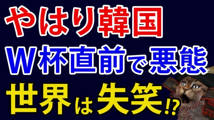 トラブルメーカー！？韓国の記者がＷ杯開催前にカタールへ難癖。低レベルな内容に世界からは失笑か【アカツキ】