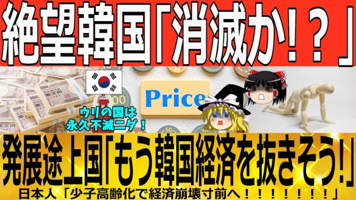 【ゆっくり解説】韓国経済「少子化=消滅か！？」2050年に発展途上国に抜かれ終了！　韓国ゆっくり解説（爆）