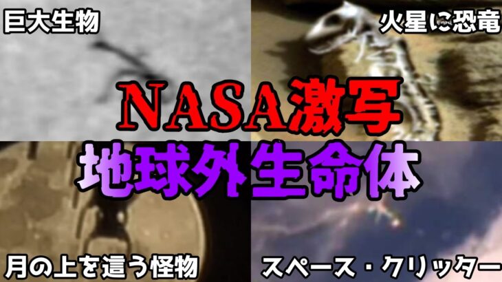 【ゆっくり解説】NASAもGoogleも捉えた！撮影された地球外生命体6選