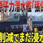 【ゆっくり解説】韓国、懲りずにまた原子力潜水艦を！予算削減で潜水ならぬ侵水艦に！