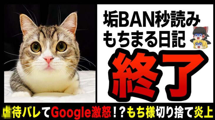 【ゆっくり解説】再生数の為に猫を●待！？もちまるは金稼ぎの道具に過ぎなかった！