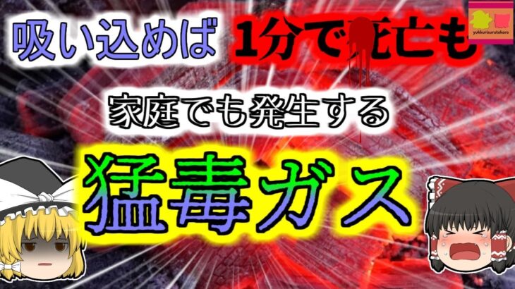 【2011年東京】『見つけることができない猛毒ガス』仕込みを任されていたバイト女性  いつの間にか厨房で嘔吐し、意識を失った状態で発見される 【ゆっくり解説】