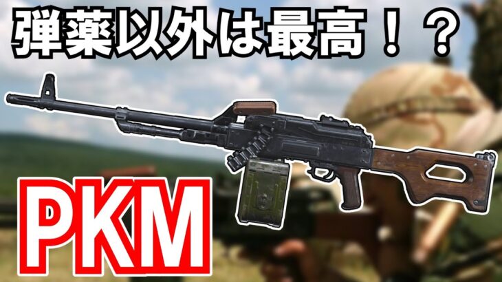 【ゆっくり兵器解説】PKM　使用弾薬以外は最高のマシンガン【現代紛争兵器解説】#10