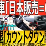 【ゆっくり解説】韓国EV車「１台も売れないｗｗｗ」日本から撤退か！？？？　韓国ゆっくり解説（爆）