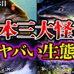 【ゆっくり解説】巨大すぎる…”日本三大怪魚”のヤバすぎる生態…