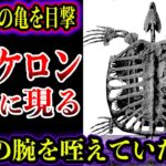【ゆっくり解説】アーケロンは実在！？巨大亀が東京を徘徊…最大8mの巨大亀の目撃証言がヤバい【UMA・未確認生物】