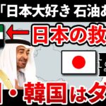 【ゆっくり解説】なぜアラブは日本だけ特別に優先してくれるのか？｜石油問題