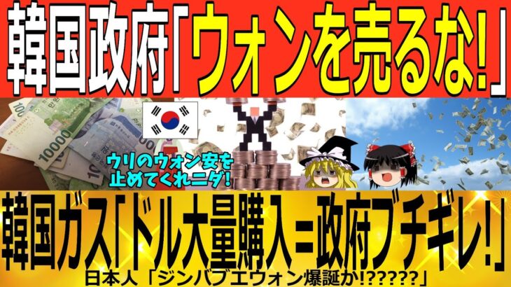 【ゆっくり解説】韓国政府「ウォンを売るな！！」韓国ガス「ドル大量購入＝政府ブチギレｗｗｗ」　韓国ゆっくり解説（爆）