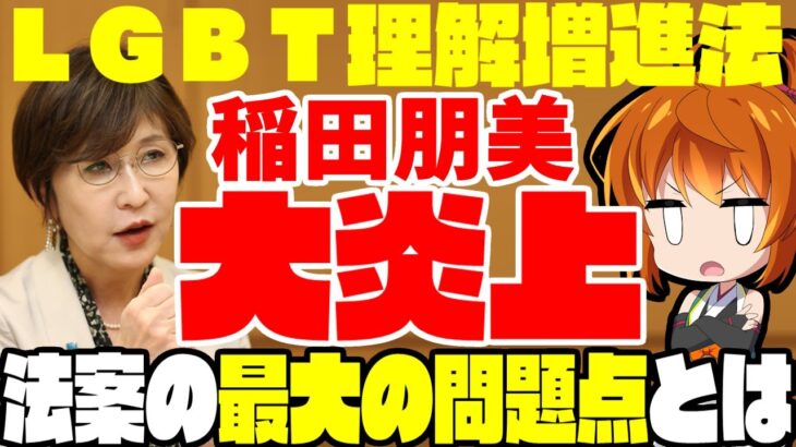 【ゆっくり解説】LGBT理解増進法で稲田朋美が大炎上！法律自体の問題点と、焦りすぎている理由