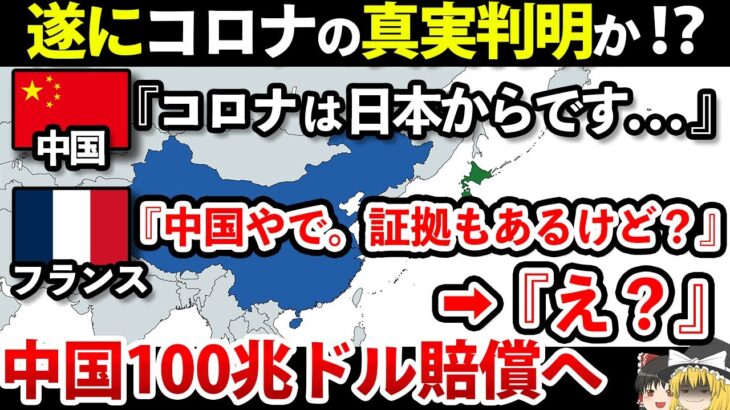 【ゆっくり解説】ブチギレた世界から中国へ賠償請求｜コロナの決定的証拠に迫る。