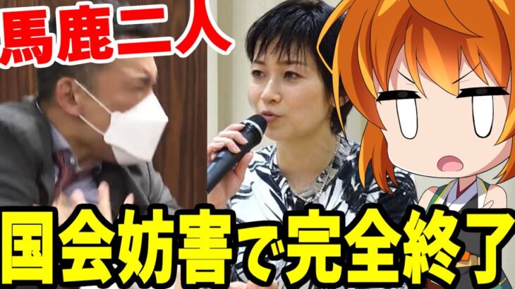 【ゆっくり解説】駄々をこねる山本太郎と、身内からも切られかける望月衣塑子－入管法改正で二人とも完全終了か