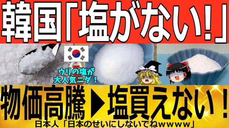 【ゆっくり解説】韓国塩「買えない！！」物価高騰▶塩買えない！！　韓国ゆっくり解説（爆）