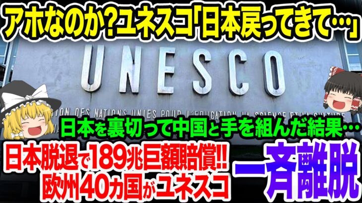 中国を選んだユネスコ発狂！日本を馬鹿にして中国と手を組んだ結果…世界中から非難轟々＋日本政府の巨額賠償！中国の傀儡となったユニセフガチ泣き！【ゆっくり解説】