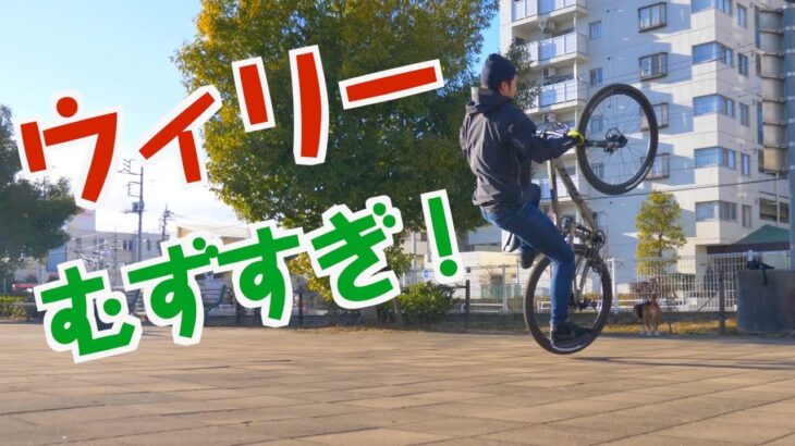 マウンテンバイク初心者が1日でウィリーできるか挑戦してみた