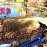 ロードより快走？！ 改造クロスバイク100km試走 大阪から奈良へサイクリング