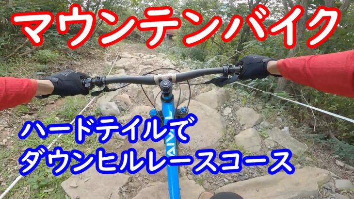 マウンテンバイク ハードテイルでダウンヒルレースコース / ウイングヒルズ / DH POLE TAIVAL