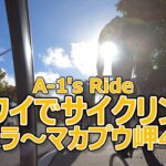【ゆる動画】ハワイのサイクリング・マカプウ岬へ【タイムワープ】