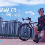 真夏の江戸川サイクリングロードを走る【ロードバイク】