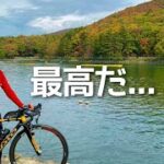 【安曇野サイクリング】安曇野市→木崎湖→大王わさび農場をサイクリングで回りました（in 11月）