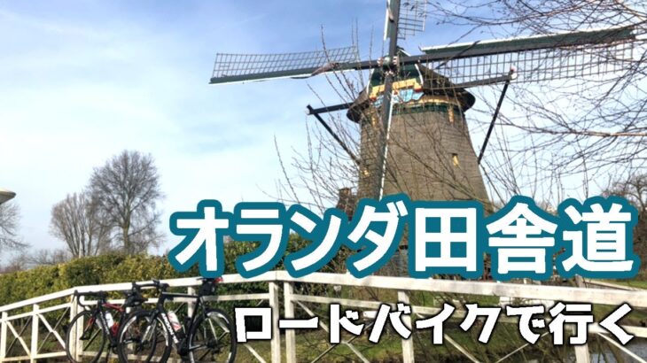 オランダ田舎道をサイクリングどんな動物に会えるかな【ロードバイク】