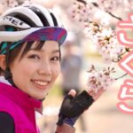 春爛漫！桜満喫サイクリングツアーin茨城