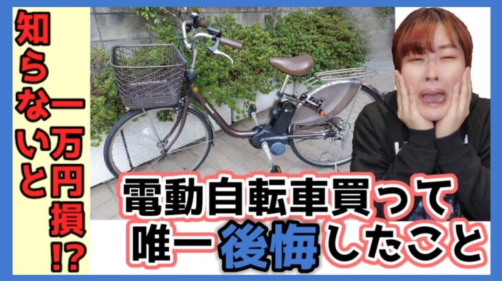 【知らないと一万円損?!】電動自転車を買って唯一後悔したこと【新年度】