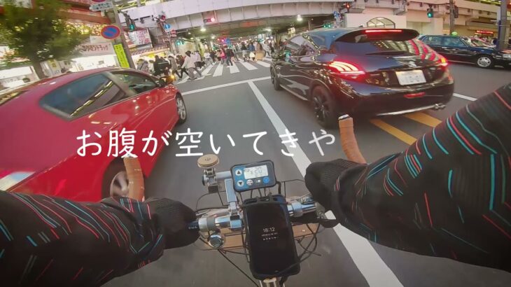 東京周遊、電動自転車ポタリング