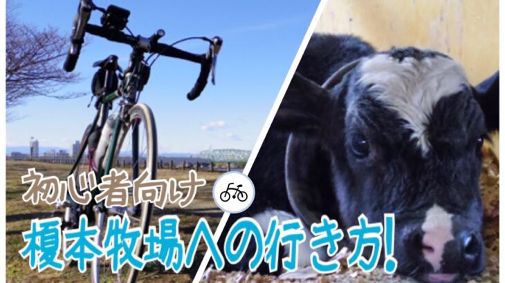 【初心者向け】榎本牧場への行き方・ルート紹介（荒川サイクリングロード）