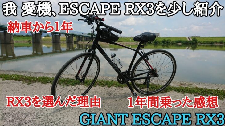 【クロスバイク】我 愛機!!エスケープRX3を紹介&1年間乗ってみた感想、筑後川ちょい走り。【サイクリング/GIANT ESCAPE RX3】