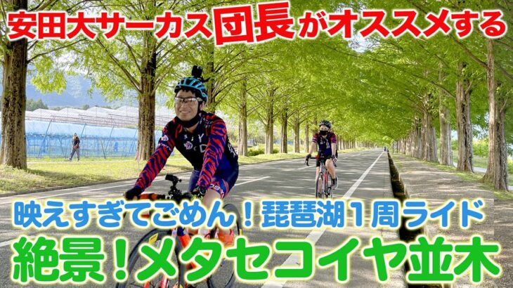 【琵琶湖１周サイクリング】団長がオススメのコース！メタセコイヤ並木や白髭神社 絶景だらけでごめんなさい！感動のフィナーレ！安田大サーカス団長安田のバズるスポーツ