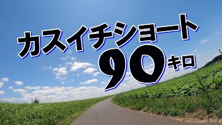 【ミニベロ】カスイチショート90キロ～クロスバイクと走る霞ヶ浦