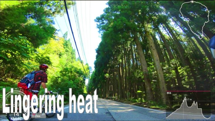 🚴🎵60分 エアロバイク 景色動画 | 脂肪燃焼 | (EDM BGMバージョン)🚴  [ 猪名川 in 兵庫県 ]