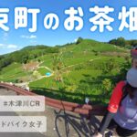 【サイクリング】和束町にお茶畑を見に行ってきた【アフレコあり】