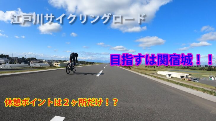江戸川サイクリングロードで目指すは関宿城！！