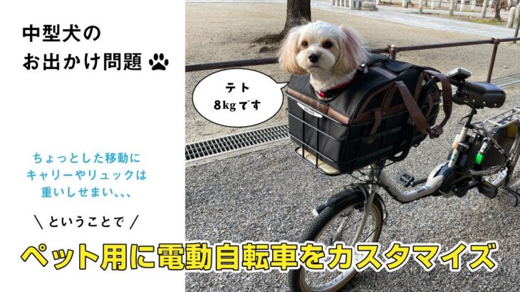 ペット用電動自転車を紹介【8kgのわんことのお出かけ】