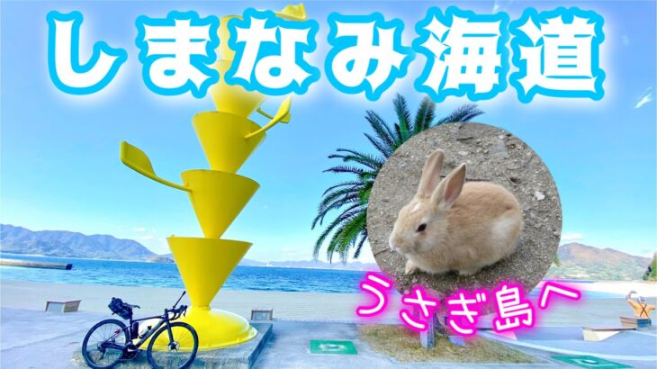 【うさぎ島】しまなみ海道のディープスポットサイクリング【ロードバイク、自転車旅】