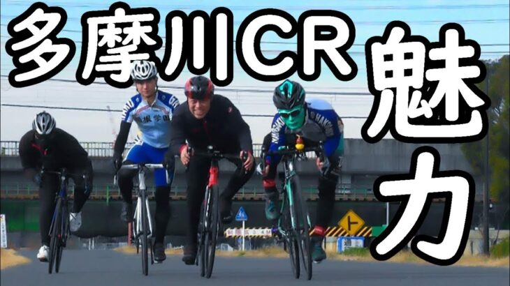 多摩川サイクリングロードの魅力🚴ロードバイクで走りたいCR/サイクリングコース🚴チェレステの狂人シン・荒北仮面 Bianchi via nirone 7🇮🇹👿🤟