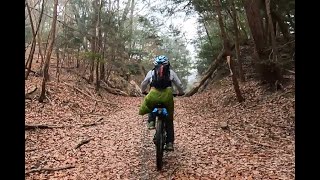 【マウンテンバイク】【MTB】林道をポタリングvol.9  【サイクリング】MOUNTAIN BIKING