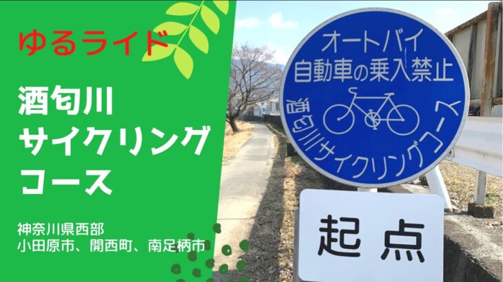 【短距離サイクリング】ゆるポタや子供連れにおすすめ！酒匂川サイクリングコースをプレ区間から全線を紹介します！【ライド動画】　#酒匂川#サイクリング#小田原