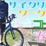 【 ワークマン 】春夏物紹介！workman でサイクリングコーデ5選！【 ストームランナー 】
