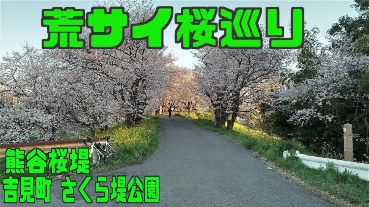 ｻｲｸﾘﾝｸﾞ 吉見町さくら堤公園、熊谷桜堤へ花見ポタ　（走行日2022.4.2 47㎞）