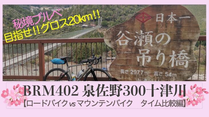 【ロードバイク vs マウンテンバイク】お花見&秘境ブルベ　BRM402泉佐野300十津川　ロードバイクとマウンテンバイクではどれだけタイムは変わるのか？？　#ロードバイク #ブルベ #ロングライド