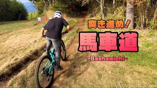 【てんやわんや】一年ぶりにふじてんの”人気MTBコース”を走ってみたら…｜MTB｜Rockymountainbikes｜マウンテンバイク