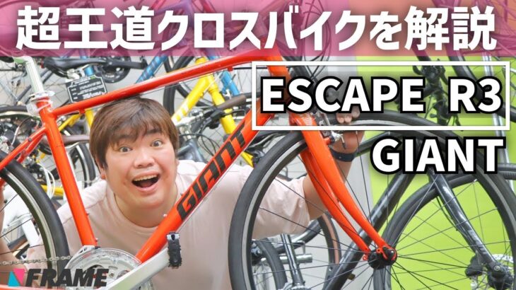 GIANT ESCAPEシリーズを特集！超王道クロスバイク3モデルを解説